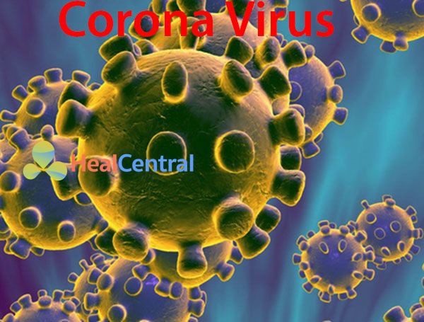 Hướng dẫn sử dụng xe ô tô trong mùa dịch Virus Corona